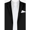 Jacob Alexander Solid Color Men's Regular Tie - White
