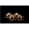 4 Piece Copper Mini Moscow Mule Mug Shot Glasses