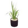 Velda Plant Basket, Plastic or metal (unsafe), Black