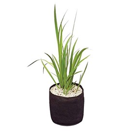 Velda Plant Basket, Plastic or metal (unsafe), Black