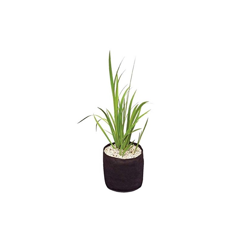 Velda Plant Basket, Plastic or metal (unsafe), Black