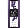 1883 Coffee Syrup, Lavender Syrup for Drinks, Made in France,