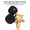 BETOOLL Nitrogen Regulator with 0-600 PSI Delivery Pressure Equipment Brass