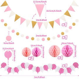 ZERODECO Pink Party Decorations, Lightweight Compilation Paper Fan Honeycomb Ball Garland Hanging Swirl Rose Party for Girls Women Birthday Bride Shower Baby Shower Party Decorations