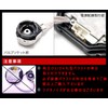 D4/D2 Ballast D4S/D4C/D4R/D2S/D2C/D2R Type A Car Inspection Compatible with DC