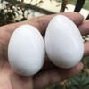 Fekuar Stone Egg Figurine, Polished Healing Crystal Easter Eggs Sphere