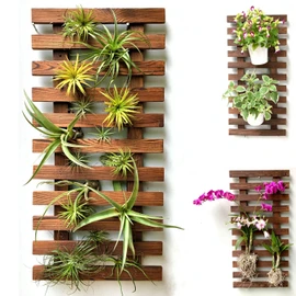 ShopLaLa Wall Planter - Wooden Hanging Planter for Indoor Plants, Plant Stand, Air Plant Succulent Holder, Vertical Garden. Large Wall Decor for Living Room, Room Decor for Teens, 60cm (23.6")