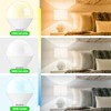 BUBO Ceiling Fan Light Bulbs 60 Watt Equivalent, E12 LED