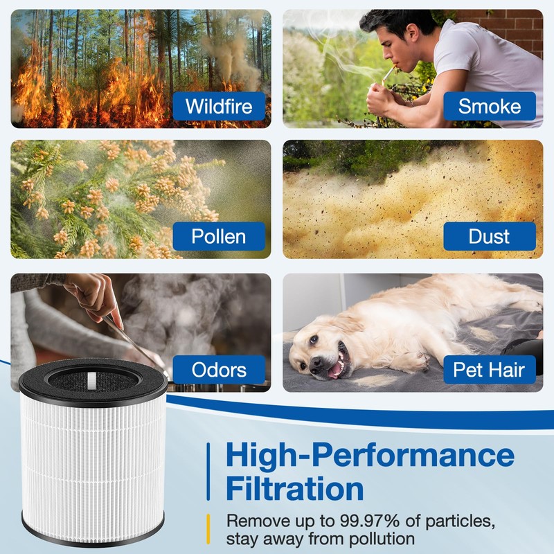 D10 Replacement Filter Compatible with Tailulu D10 Air Purifier, 3-in-1
