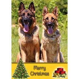 German Shepherd Dog Christmas Card 'Merry Christmas' - Special Animal Xmas Card for Him Her from Pets Kids