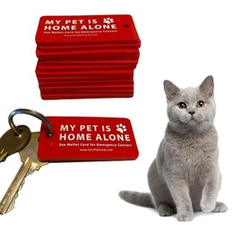 KODASW Dog Cat are Home Alone Alert Emergency Card & Key with Emergency Contact Call Cards Pet Contact Keychain Acrylic