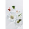LEONARDO HOME Cucina Bowl Set • Set of 4 •