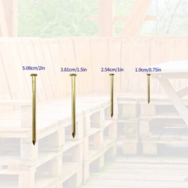 300 Pieces Nail Picture Hanging Assortment Set, Hardware Nails, Wall Nails, Brass-Plated Nails for Walls, Hanging Pictures - 2 Inches, 1.5 Inches, 1 Inches, 0.75 Inches