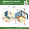 Say Bye Bugs Insect Exterminator - a Non-Toxic, Kill on