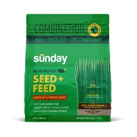 Sunday Northeast Seed + Feed - Grass Seed, Soil Conditioner, & Fertilizer Mix - Northeast Lawn Seed with Tall Fescue, Fine Fescue & Tetraploid Ryegrass - 9-0-2 NPK - Covers 1,500 sq. ft. - 10lbs