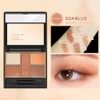 FOMIX Eyeshadow Palette Orange Glitter Matte Brush Included Popular Eye