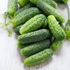 KIRA SEEDS - Cucumber Wisconsin - Open-Pollinated - Heirloom Vegetable