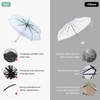 flexman Cherry Blossoms Umbrella, Fashionable Transparent Windproof Manual Folding Umbrella,