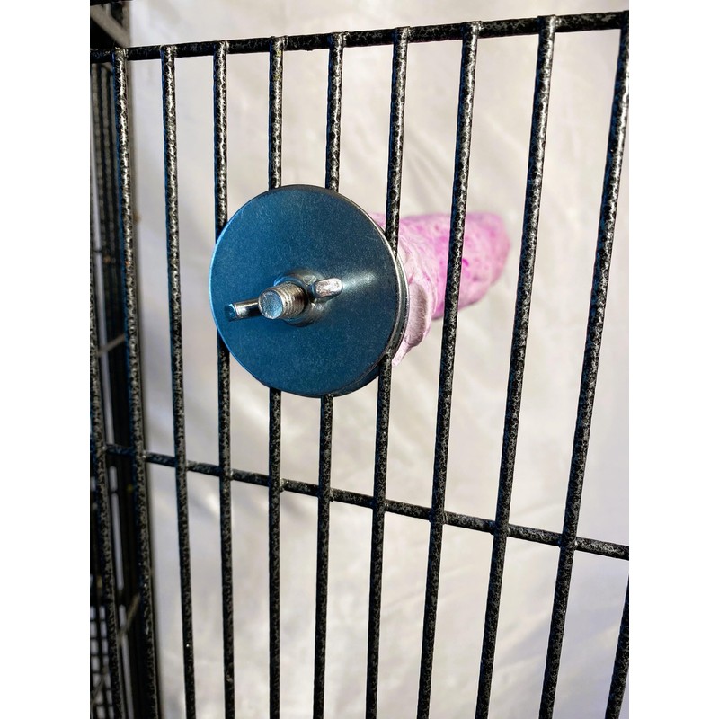 Tooty Fruity Bee Pollen Medium Grape