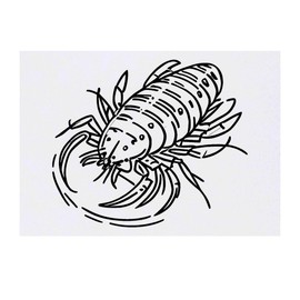 'Lobster Crustacean' Temporary Tattoo - Water Resistant, Skin-Safe, Non-Toxic Transfer (TO00068797)
