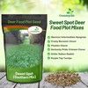 Outsidepride Southern Sweet Spot Seed - 20 lb. Annual, Versatile,