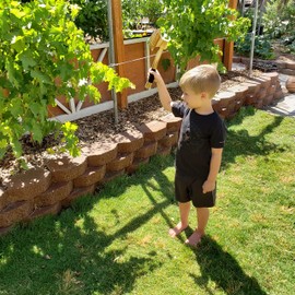 Adventure Awaits! - 2-Pack - Wooden Toy Axe Hatchet - Handmade - Lightweight Wood Toy Hatchet Set for Outdoor Play