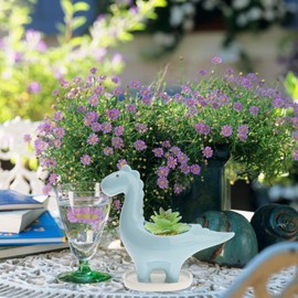 BESPORTBLE Ceramic Succulent Planter Pot Dinosaur Pot Cartoon Dinosaur Flowerpot Ceramic Dinosaur Planter Desktop Dinosaur Ornament Dinosaur Theme Flowerpot Ceramic Animal Planter Desktop