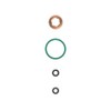 Gasket Kit Injector