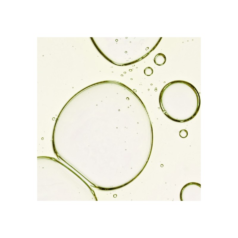 pulley Fully Green Tomato Pore-Cleansing Mildly Acidic Hydrating Skin Toner