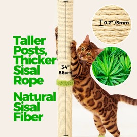 TINYBEAST 34" Tall Cat Scratching Post, Cat Scratcher Featuring Natural Sisal Rope, Cat Tree with Interactive Plush Toy Ball and Stable Base for Indoor Large Adult Cats & Kittens