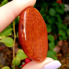 Fire Agate Natural Healing Crystal Smooth Polished Gemstone Worry Palm Pocket from Mexico - piece #9