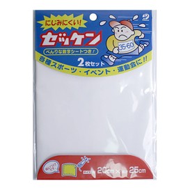 Pioneer nuituke The G516 – 50006 