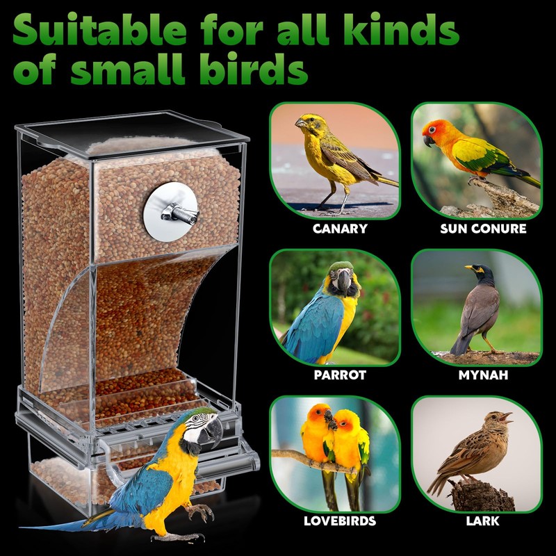 Yaomiao 4 Pcs No Mess Bird Feeders Automatic Parrot Water