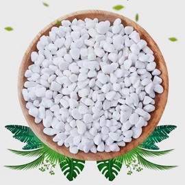 5LB White Succulent and Cactus Gravel Pebbles - 1/5 Inch Natural Stones for Plants, Vases, Aquariums, Terrariums, and Outdoor Gardening