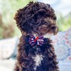 24PCS 4th of July Dog Bow Tie Collar, Independence Day