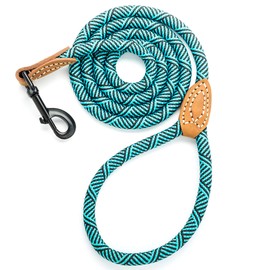 Mile High Life | Mountain Climbing Dog Rope Leash with Heavy Duty Metal Sturdy Clasp | Genuine Leather Tailored Connection with Strong Stitches (Turquoise Green, 48 Inch (Pack of 1))