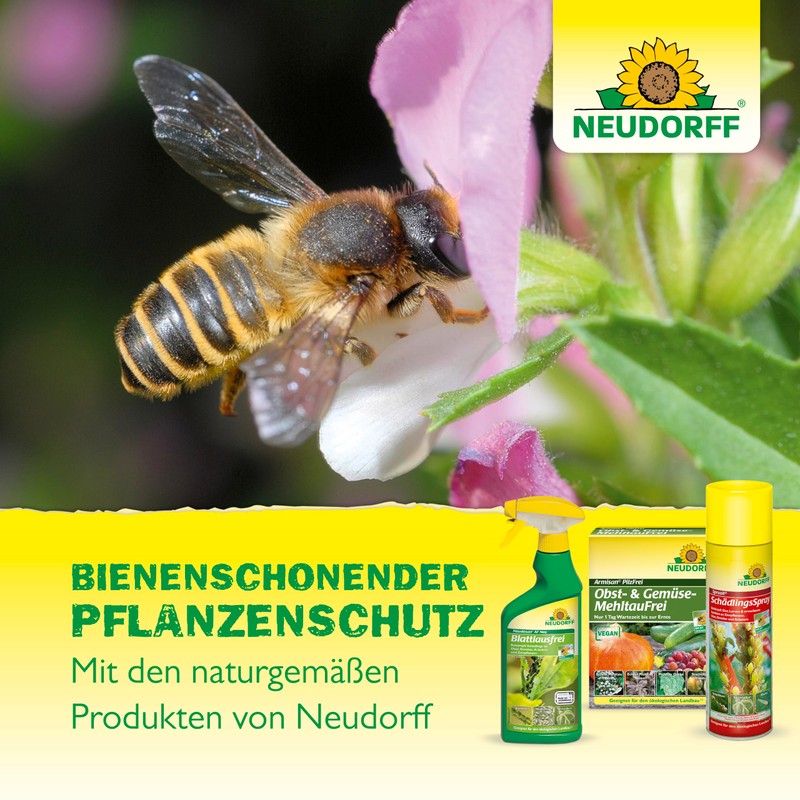 NEUDORFF SPRUZIT 100 ML 459