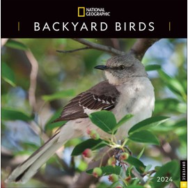 National Geographic: Backyard Birds 2024 Wall Calendar
