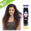 6 PACKS/LOT FreeTress Synthetic Hair Crochet Braids Boho Hippie Loc