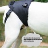 Dog Sling for Injured and weak hind Legs Hind Leg
