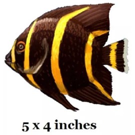 French Angelfish Wall Decal Tropical Angel Fish Vinyl Sticker Peel and Stick Art