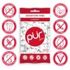 Pur Gum Variety Pack - Cool Mint, Chocolate Mint, Cinnamon