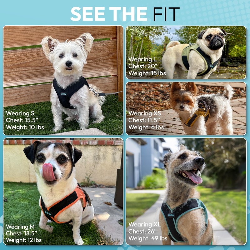 Gooby Escape Free Easy Fit X, Seattle Blue, X-Large