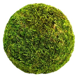 SuperMoss (21657) Moss Ball, Fresh Green, 6"