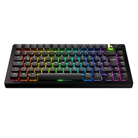 Glorious Gaming - GPBT Basics (PBT Keycaps), 8 Colours, Colourfast Sublimation Printing, for Mechanical Keyboards of Sizes 100%, 75%, 65%, 60% and ANSI & ISO - German QWERTZ Assignment