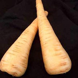 All American Parsnip Seeds - 1 OZ ~5,000 Seeds - Non-GMO, Heirloom Vegetable Gardening Seeds - Open Pollinated