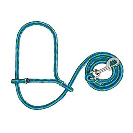 Weaver Leather Livestock Poly Rope Sheep Halter with Snap, Lime/Hurricane Blue/Royal Blue, Average