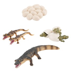 STOBOK 1 Set Crocodile Life Cycle Toys Plastic Crocodile And Eggs Figurines Model Animal Life Cycle Figurines Toys Educational Toys for Kids Toddlers Easter Party Decoration 10x3cm