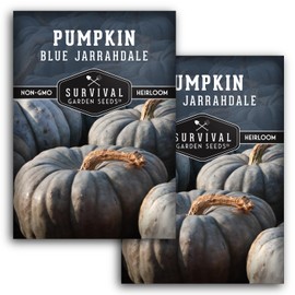 Blue Jarrahdale Pumpkin Seeds for Planting - 2 Packets with Instructions to Plant & Grow Decorative and Flavorful Blue Pumpkins in Your Home Garden - Non-GMO Heirloom Variety - Survival Garden Seeds