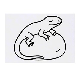 'Lizard' Temporary Tattoo - Water Resistant, Skin-Safe, Non-Toxic Transfer (TO00086163)